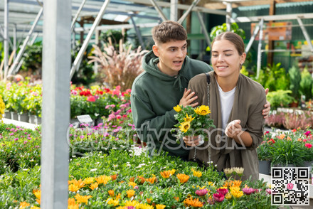 Couple customer-onlooker curiously examines showcase exhibition with outdoor plant gazania