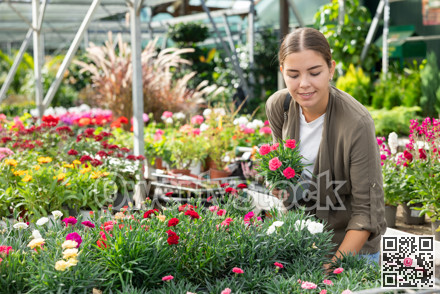In flower shop, girl wants to buy pale pink garden dianthus to decorate flower bed