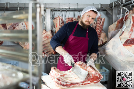 Employee of local butcher shop divides large huge piece of meat carcass with knife