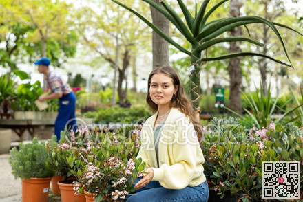 Female customer admiring blossoming Rhaphiolepis indica Springtime in garden center