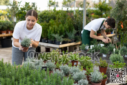 Woman florist chooses thymus plants to create flower arrangement and landscaping park area