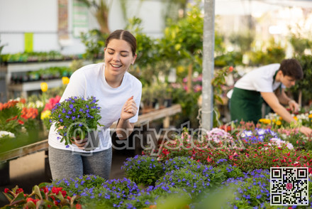 Young girl florist chooses lobelia plants to create flower arrangement and landscaping park area