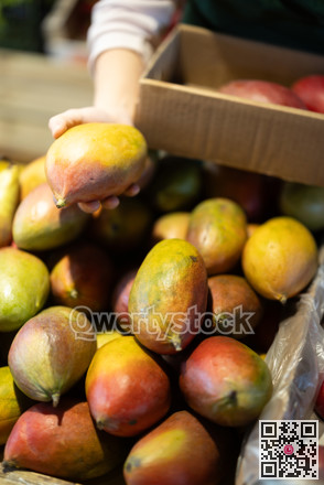 Female seller's hands placing mangoes on store counter