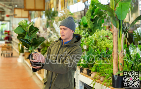 Male customer chooses artificial plastic flowers in pots in flower shop