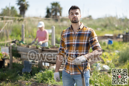 Portrait of male farmer during harvesting in field