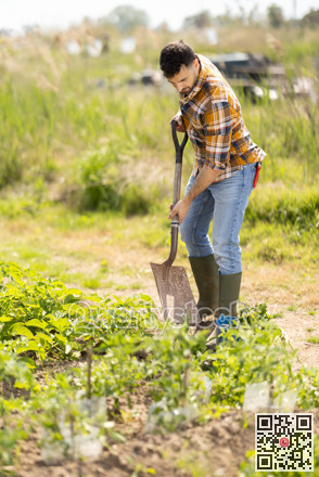 Young man with shovel working on farm field
