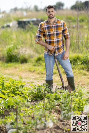 Male farmer digs soil in the garden beds with shovel