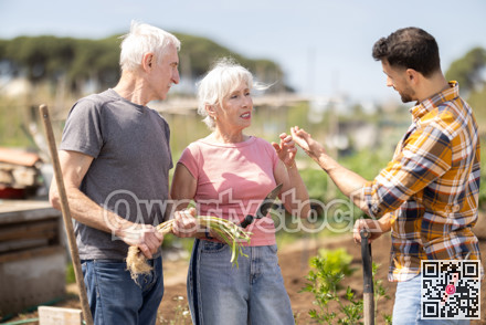 Elderly couple and young man talking together on farm field