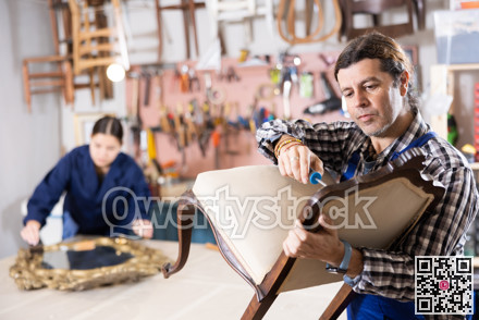 Middle-aged male restorer removes old cloth seat covering from antique wooden chair.