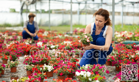 Woman Greenhouse Worker with Flowers