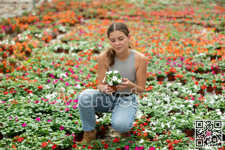 Young woman choosing flowers in greenhouse