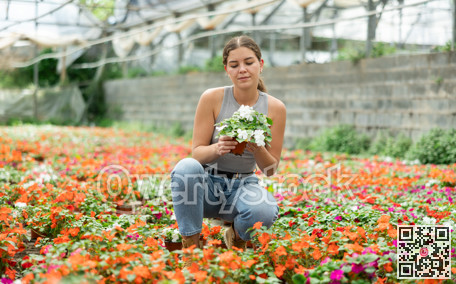 Young woman choosing flowers in greenhouse
