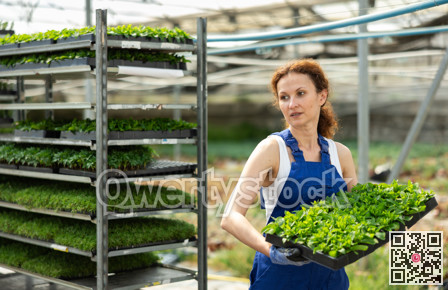 Woman garden store worker with seedlings in her hands