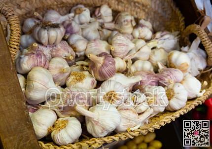 Garlic closeup in basket on market counter