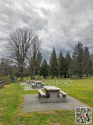 Picnic tables and benches on green lawn in a park on winter season