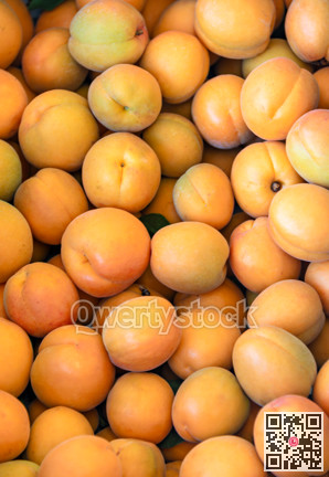 Fresh apricots for sale on farm stand in Okanagan valley