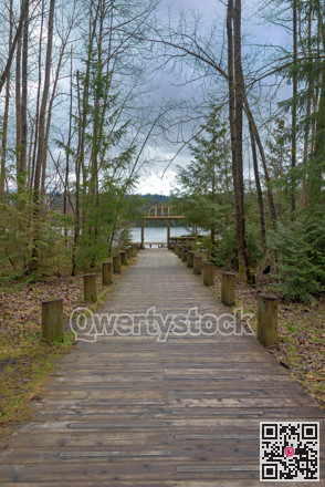 Wooden paved trail in a park on winter season in British Columbia, Canada