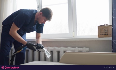Technician Sanitizes Cushions Meticulously. Bright Apartment Showcases Thorough Upholstery Sanitation Process. Man Effectively Deep Cleans